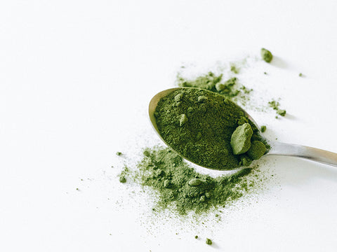 Les Bienfaits Exceptionnels du Matcha : La Puissance de la Feuille Verte