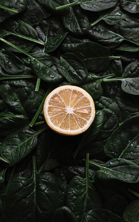 N°17 - Thé vert BIO – Saveur citron & romarin